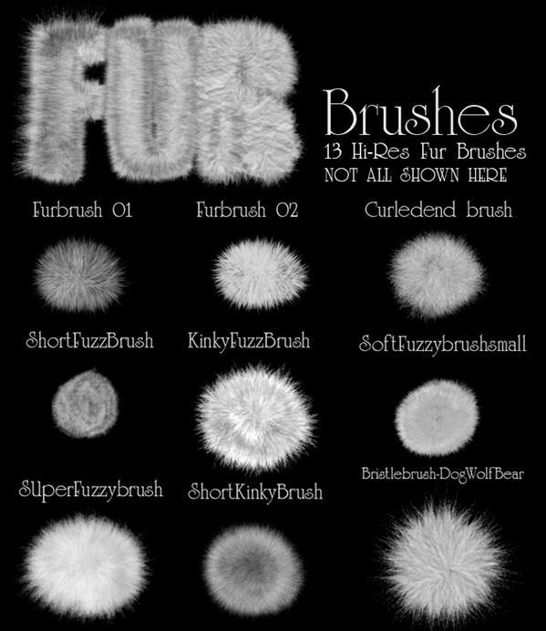 Drawing Animal Hair Fur Brushes