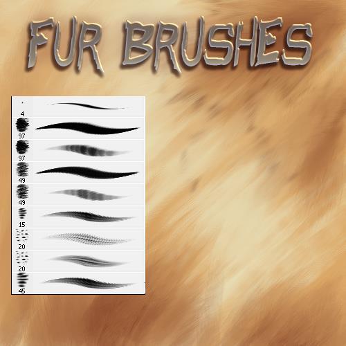 Fur and Animal Hair Brushes for Photoshop | PSDDude