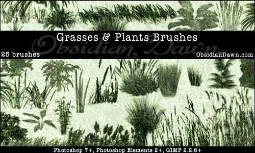 Grass Plants Foliage Photoshop Brushes