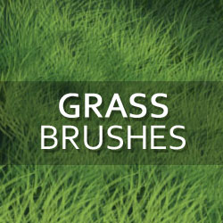 Grass and Foliage <span class='searchHighlight'>Photoshop</span> <span class='searchHighlight'>Brushes</span> psd-dude.com Resources