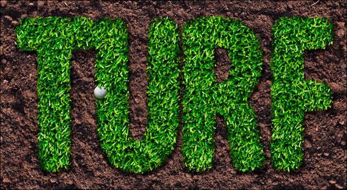 How to Create a Grass text in Photoshop