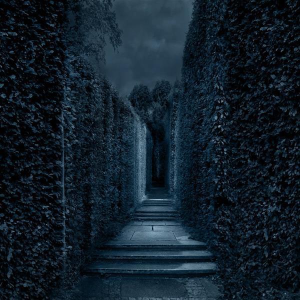 Premade BG Dark Labyrinth Photo Manipulation