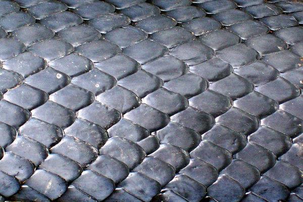 Snake Scales Texture