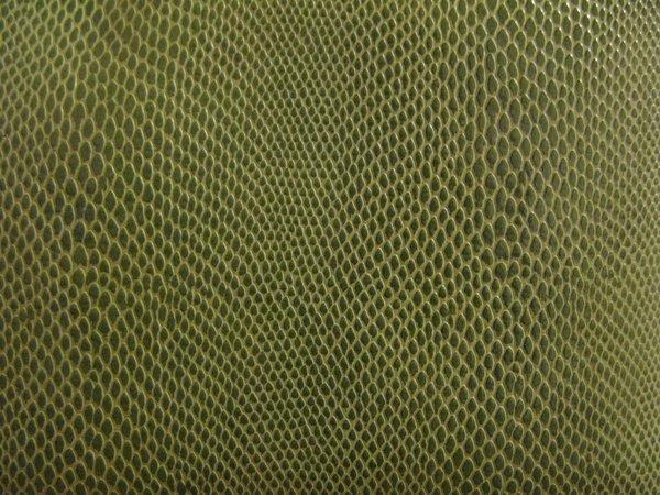 Snake Skin Pattern Texture