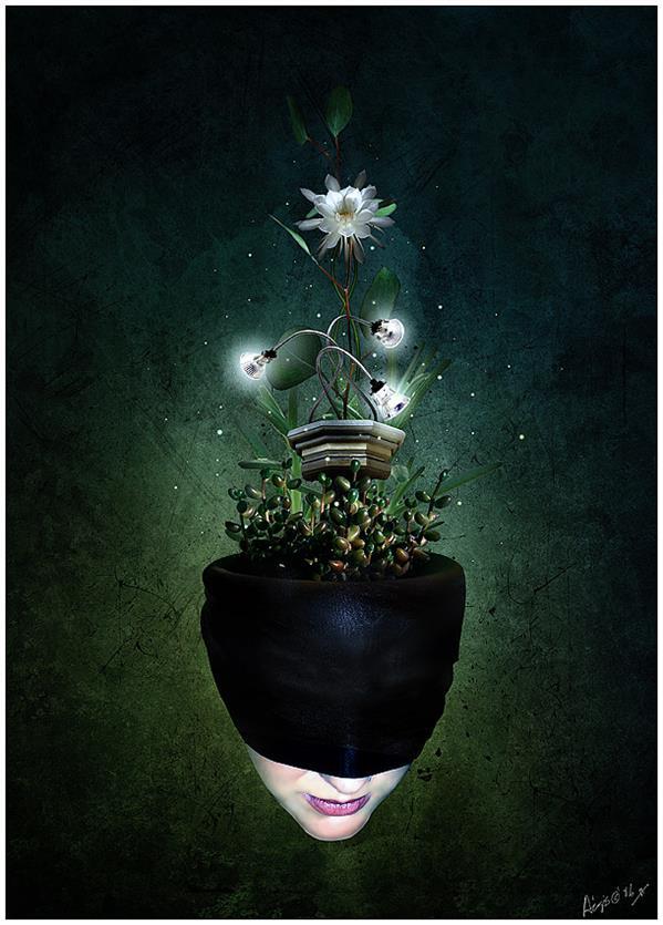 Herbal Movement Surreal Photoshop Artwork