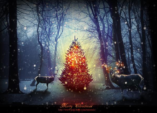 Photoshop Tutorial For Creating A Beautiful Christmas Picture Of A Magic Forest With A Glowing Christmas Tree