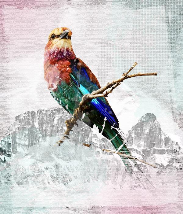 Grunge textured mixed collage in Photoshop