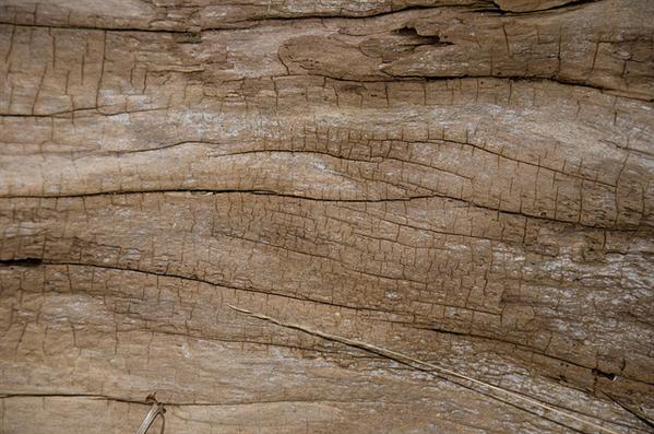 Beach Wood
 texture Photoshop