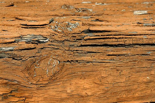Old Wood Grain Texture