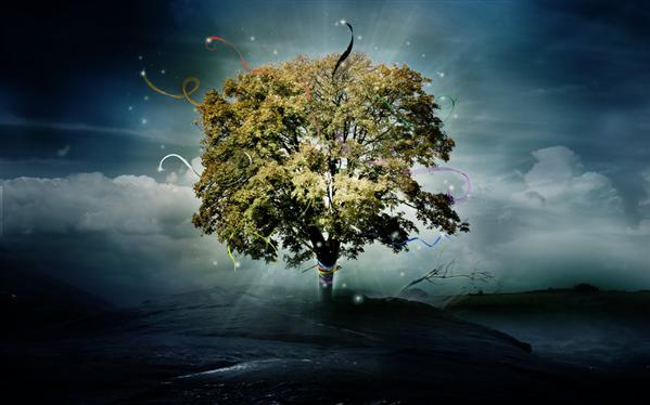 Tree
of Hope by InertiaK photoshop resource collected by psd-dude.com from deviantart