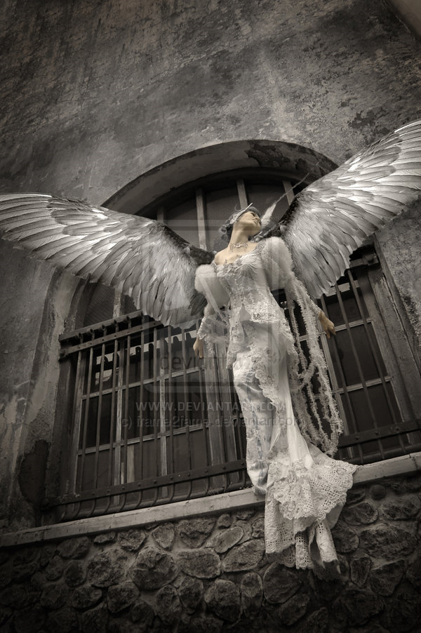 angel 'la celeste
by frame2fame photoshop resource collected by psd-dude.com from deviantart