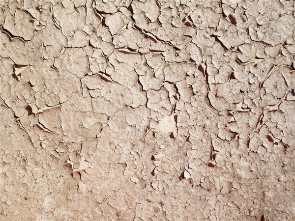 Cracked Mud Texture