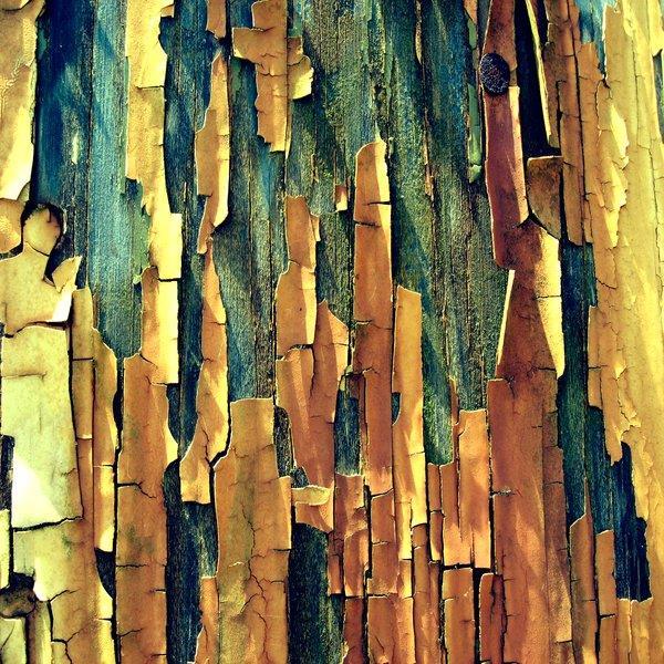 Cracks and peels Texture
