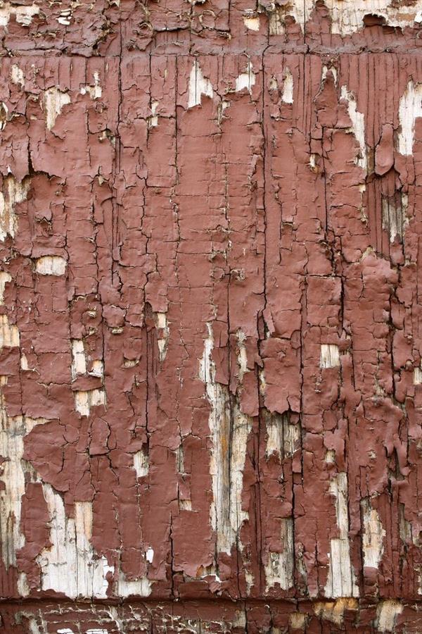 Peels Closeup Texture
