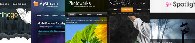 20 Premium Wordpress Themes of January 2010