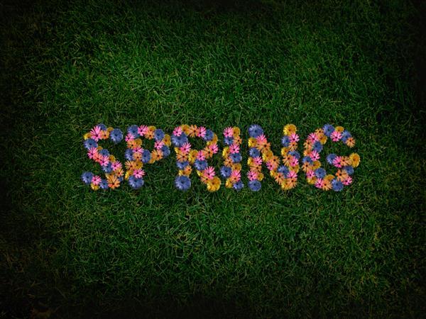 Spring Floral Text Effect Typography