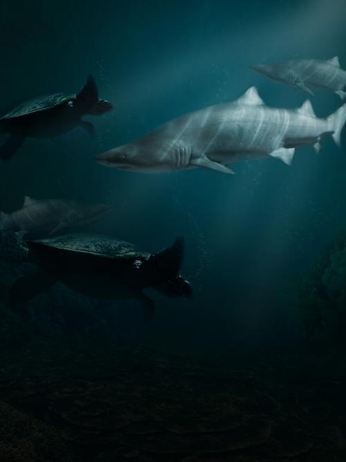 Underwater Sea Life Scene in Photoshop 