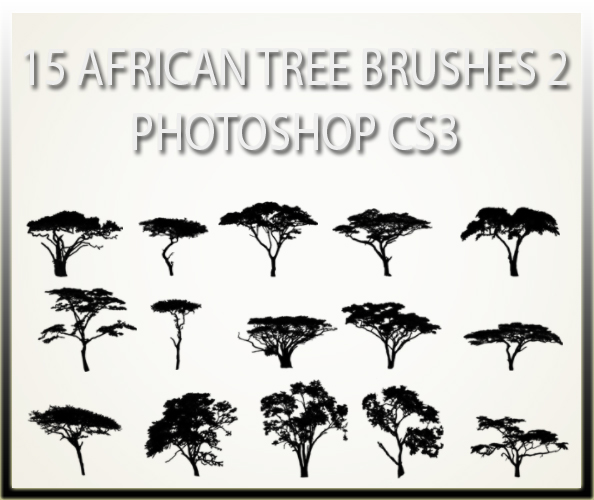 15
 African Tree Brushes 2 CS3 by charfade photoshop resource collected by psd-dude.com from deviantart