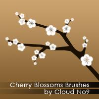 Cherry
 Blossoms Brushes by cloud-no9 photoshop resource collected by psd-dude.com from deviantart