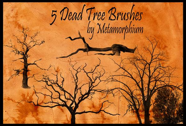 5
 Dead Tree Brushes by Metamorphium photoshop resource collected by psd-dude.com from deviantart