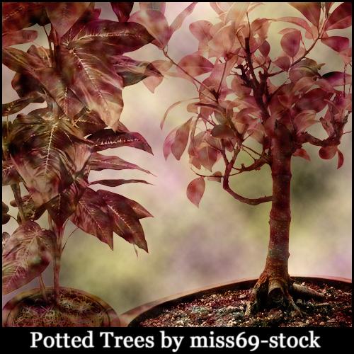 Potted
 Tree Brushes by miss69-stock photoshop resource collected by psd-dude.com from deviantart