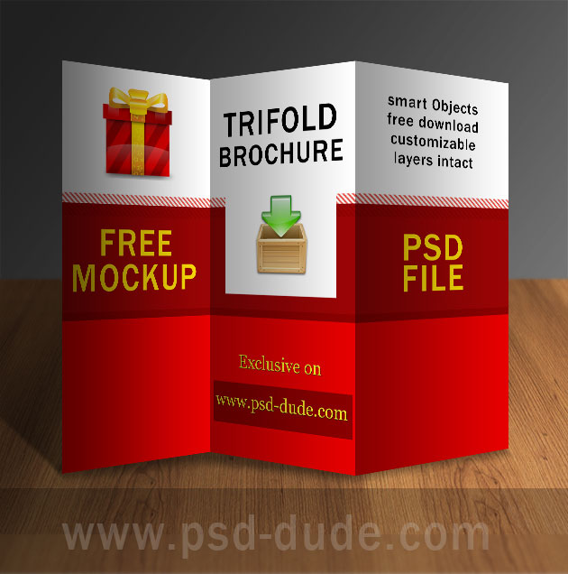 3 Fold Brochure Psd Downloads