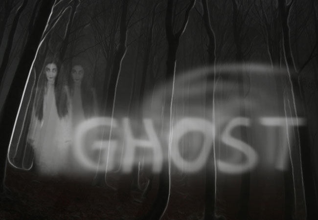 Double ghost silhouette of a girl on a spooky forrest background