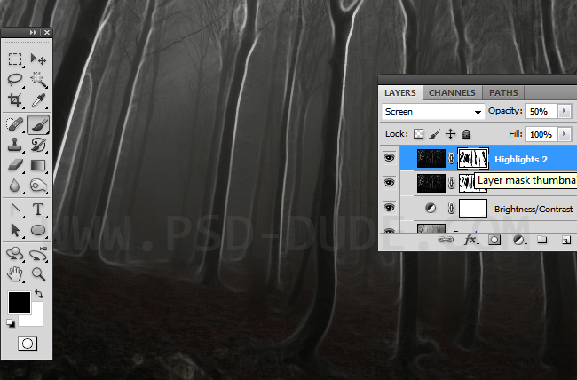 Photoshop layer mask for hiding highlights in the forrest background image