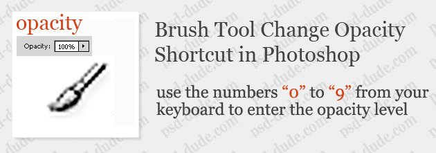 Shortcut Keys For Using Photoshop Brushes