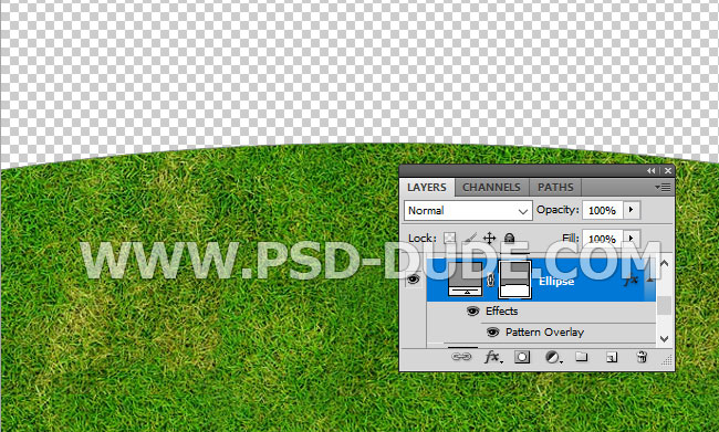 grass seamless pattern for photoshop