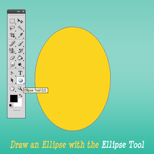 Draw Egg Shape With The Ellipse Tool In Photoshop