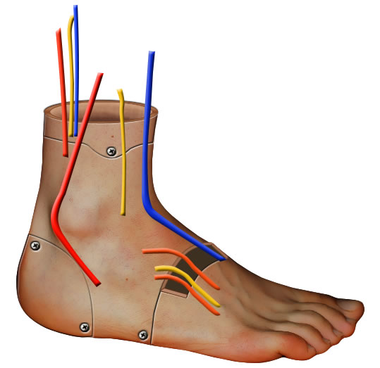 future-foot tutorial intermediary image