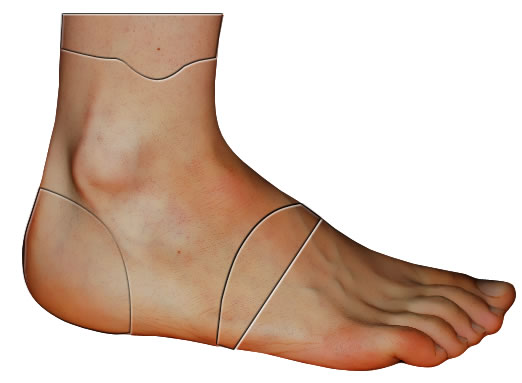 future-foot tutorial intermediary image