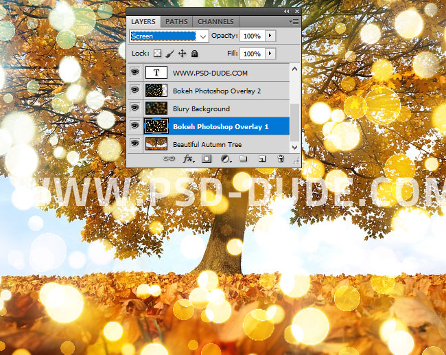 add bokeh to photo in photoshop