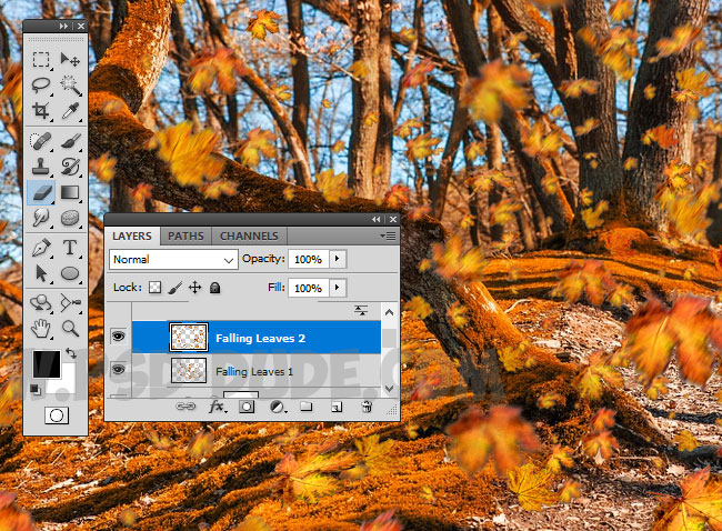 fall leaves autumn photoshop