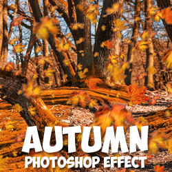 How To Change Season Autumn Effect In Photoshop