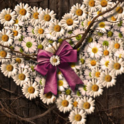 Daisy Heart Photoshop Manipulation Tutorial