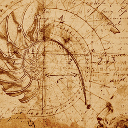 Lost Page Leonardo Da Vinci Codex The Golden Spiral