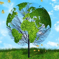 Create a Green Earth Tree Environment Background in Photoshop