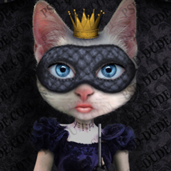 Photoshop Cat Princess Tutorial