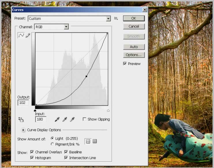 Tree Face Photoshop Tutorial