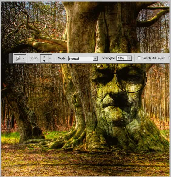 Tree Face Photoshop Tutorial