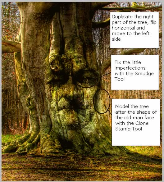 Tree Face Photoshop Tutorial