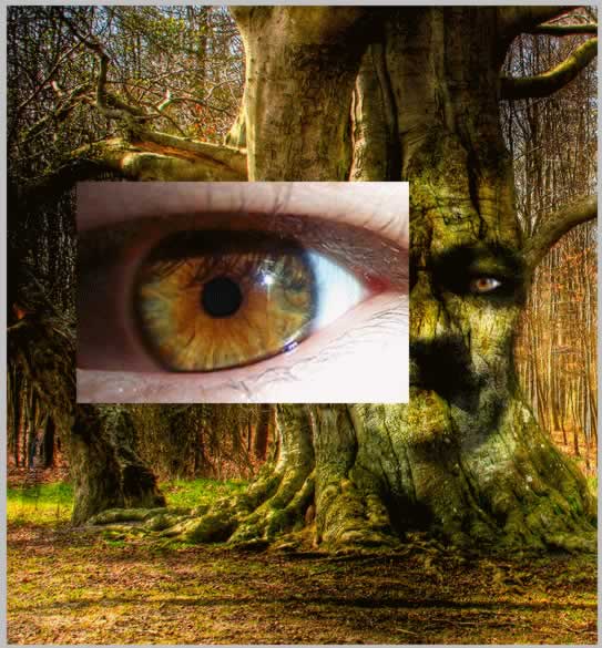 Tree Face Photoshop Tutorial