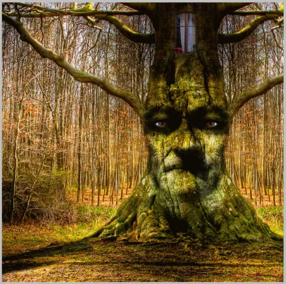 Tree Face Photoshop Tutorial