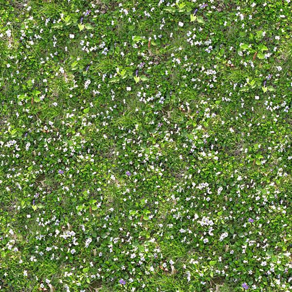 870 Lawn
 Seamless Texture by zooboing photoshop resource collected by psd-dude.com from flickr