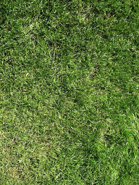 free_high_res_texture_368 by calebkimbrough photoshop resource collected by psd-dude.com from flickr