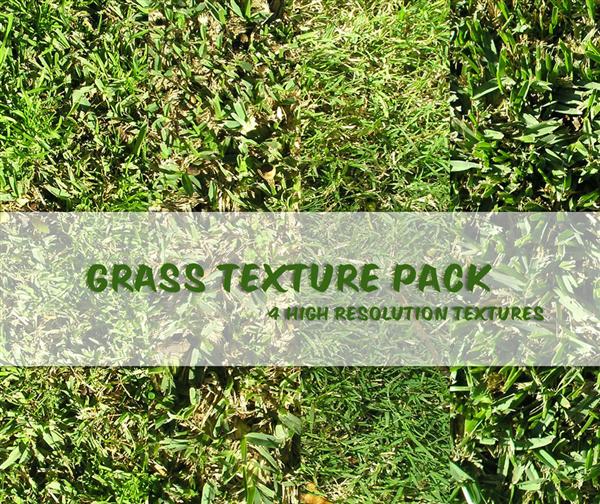 Grass
 Texture Pack by powerpuffjazz photoshop resource collected by psd-dude.com from deviantart