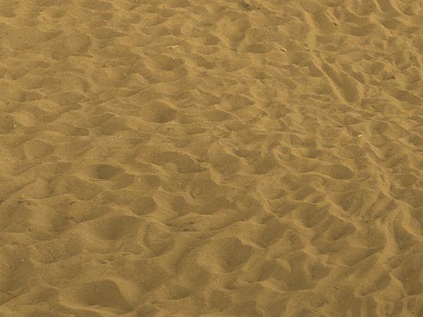 Golden beach sand texture