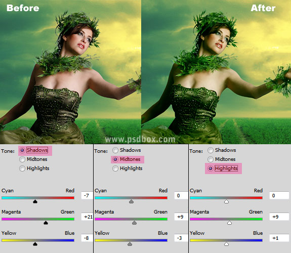 Blending and Adjustments in Photo Manipulation